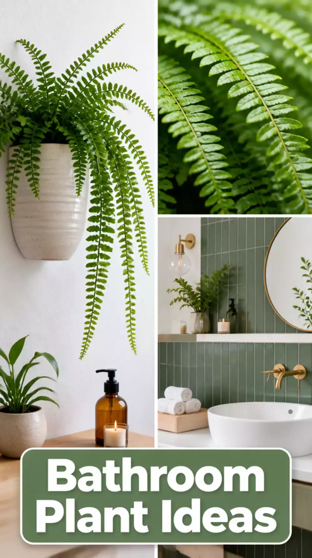 Bathroom Wall-Mounted Ceramic Planter for a Trailing Fern on a Tile Wall